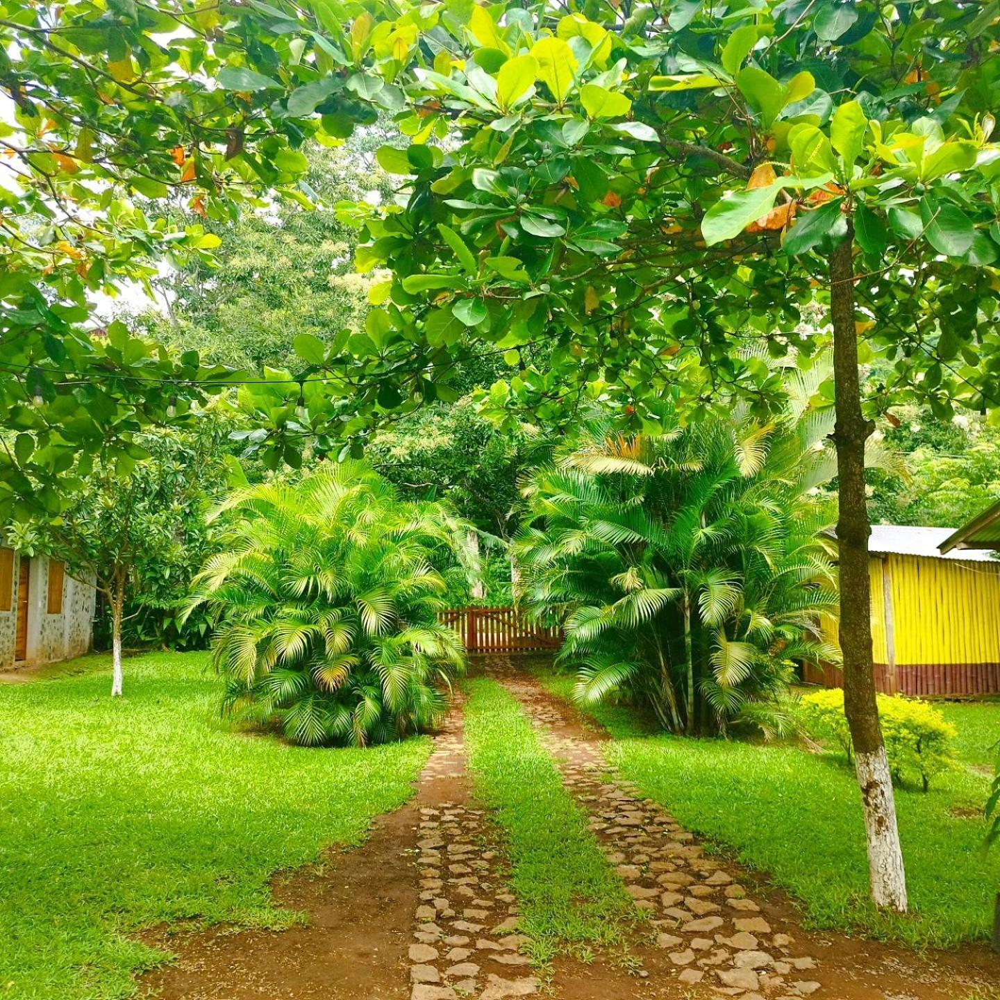 Cabanas Ixaya Catemaco Exterior foto